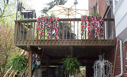 Flowers on Deck Above