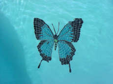 Tile Butterfly